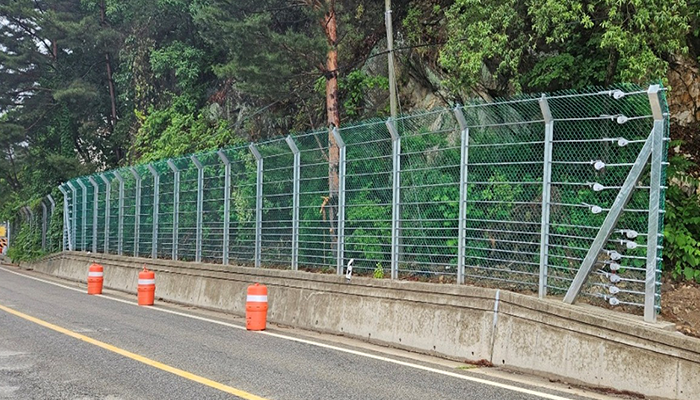 단양 가선지구 이미지 3