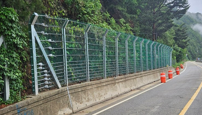 단양 가선지구 이미지 4