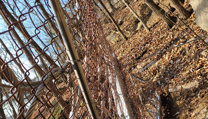 단양 가선지구 이미지 3