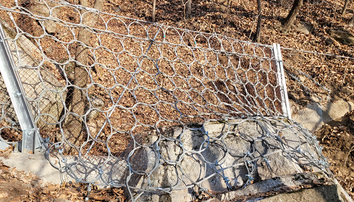 단양 가선지구 이미지 4