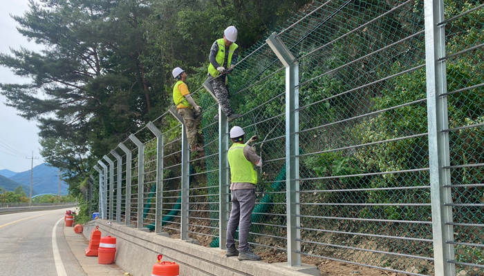 단양 가선지구 이미지 4