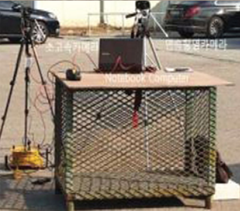 갤러리 이미지 3